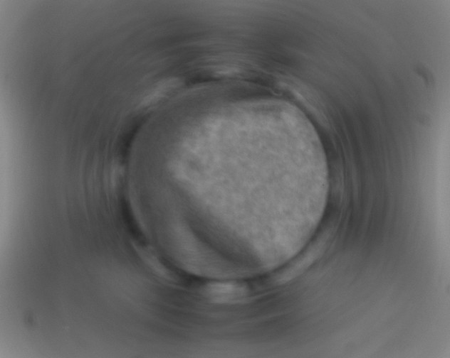 X0000113590281200910161850