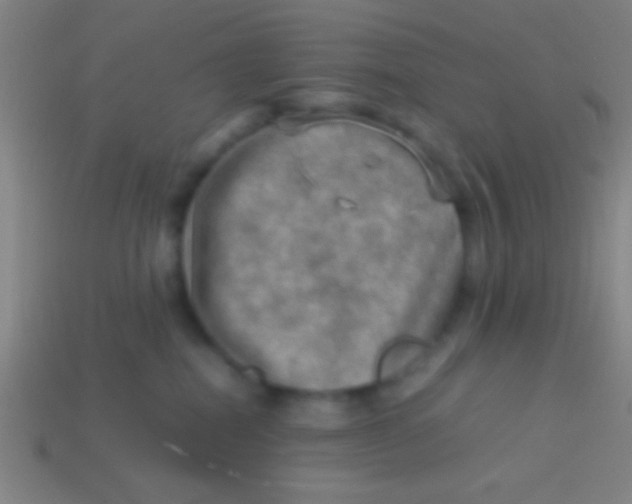 X0000113590282200910161850