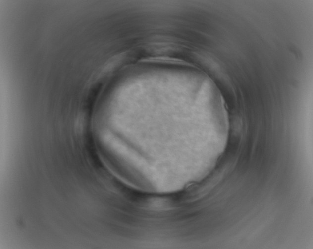 X0000113590283200910161850