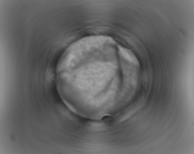 X0000113590284200910161850