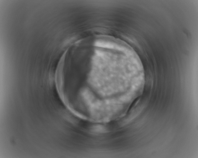 X0000113590285200910161850