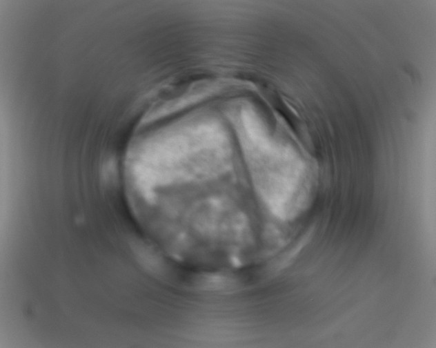 X0000113590286200910161850