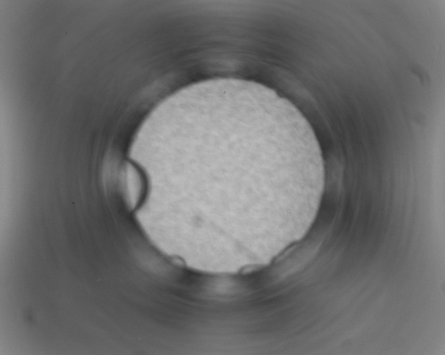 X0000113590287200910161850