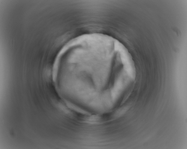 X0000113590288200910161850