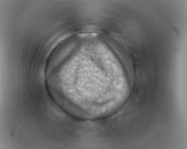 X0000113590290200910161849