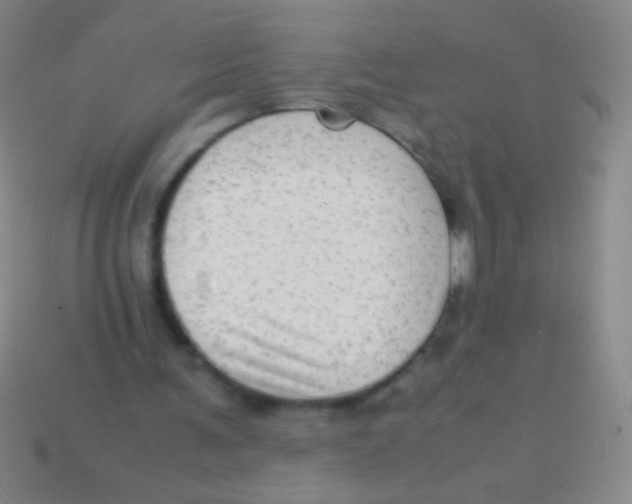 X0000113590291200910161849
