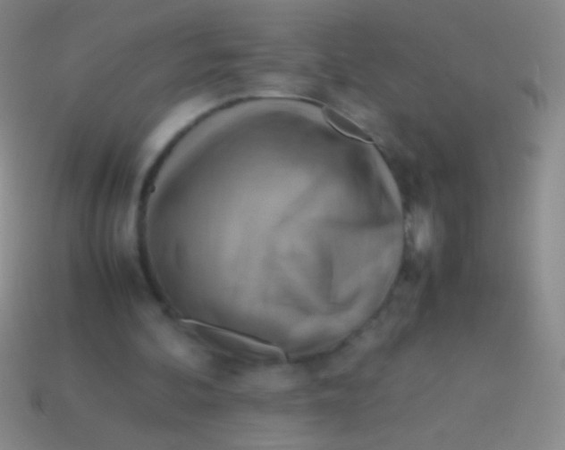X0000113590292200910161849