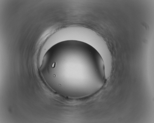 X0000113590293200910161849