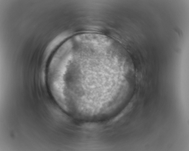 X0000113590294200910161849