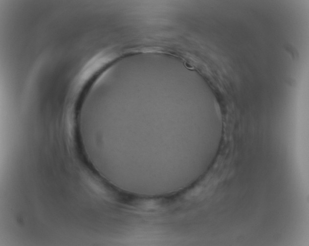 X0000113590295200910161849