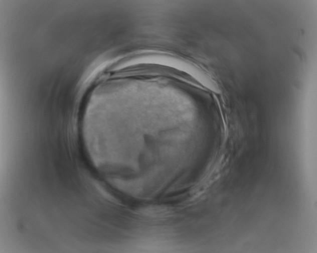 X0000113590296200910161849