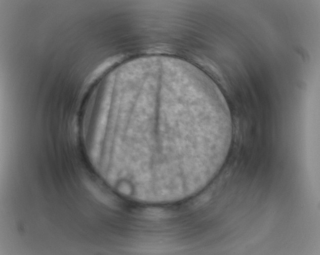 X0000113590298200910161849