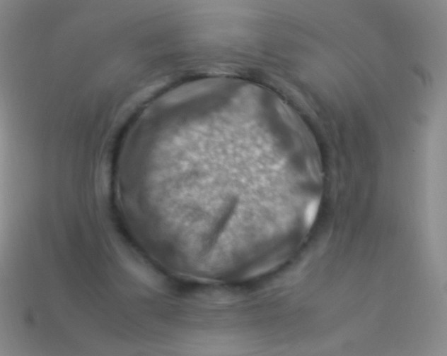 X0000113590299200910161849