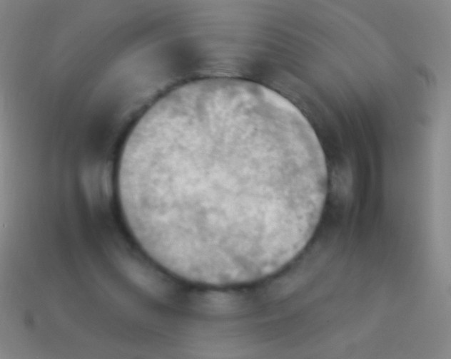 X0000113590302200910161849