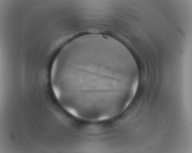 X0000113590303200910161849