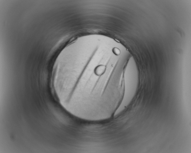 X0000113590304200910161849