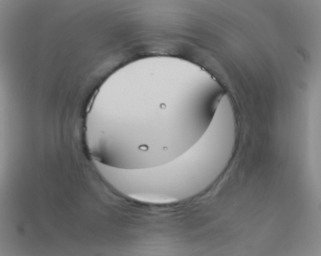 X0000113590305200910161849