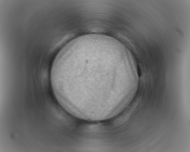 X0000113590306200910161849