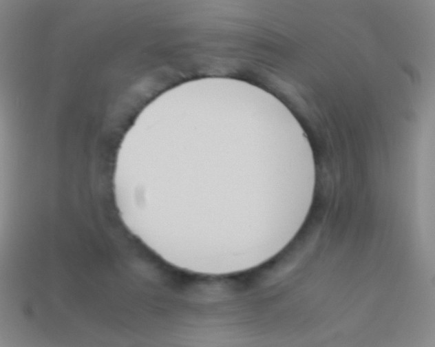 X0000113590307200910161849