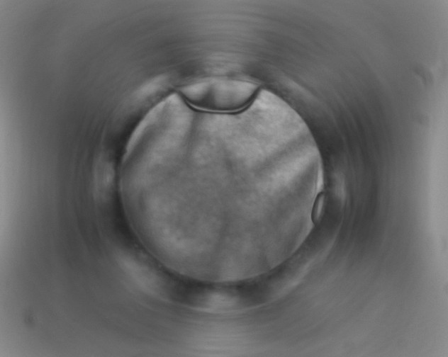X0000113590308200910161849