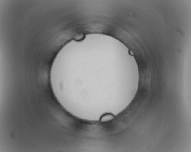 X0000113590309200910161849
