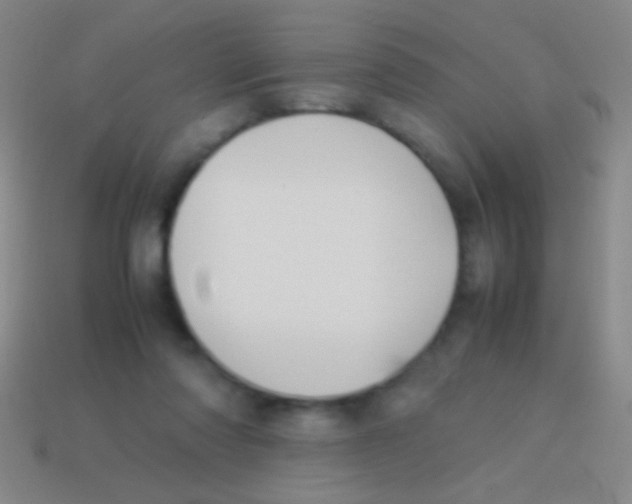 X0000113590310200910161849