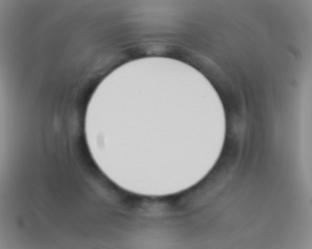 X0000113590311200910161849