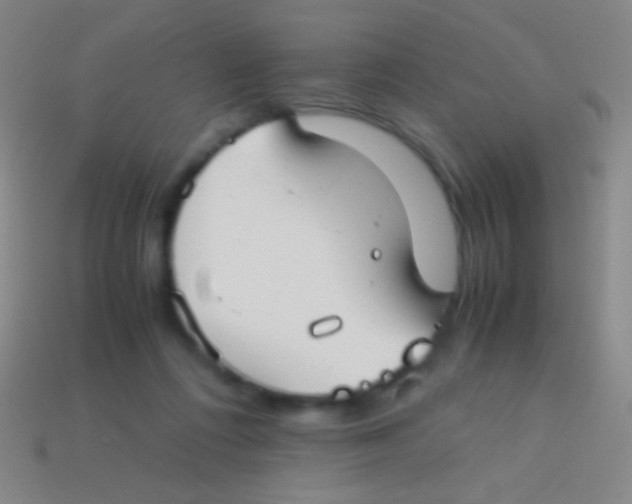 X0000113590312200910161849