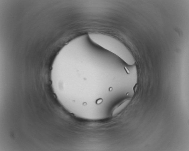 X0000113590313200910161849