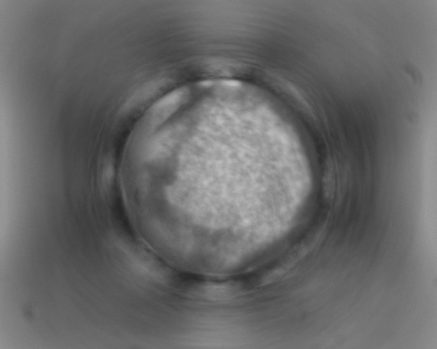 X0000113590314200910161849