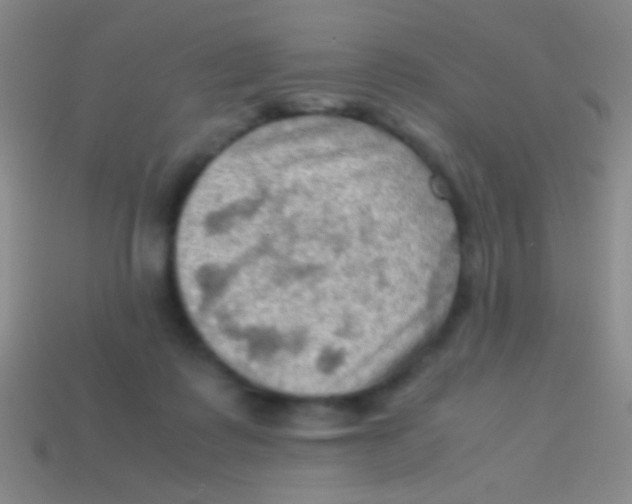 X0000113590315200910161849
