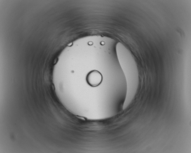 X0000113590316200910161849