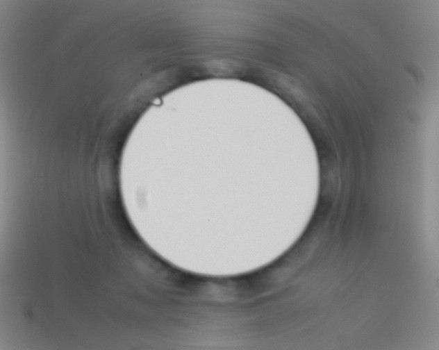 X0000113590317200910161849