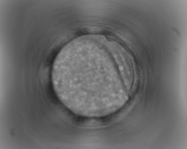 X0000113590319200910161849