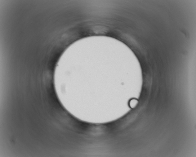 X0000113590321200910161849