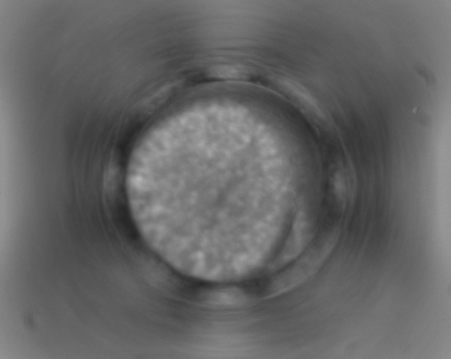 X0000113590322200910161849