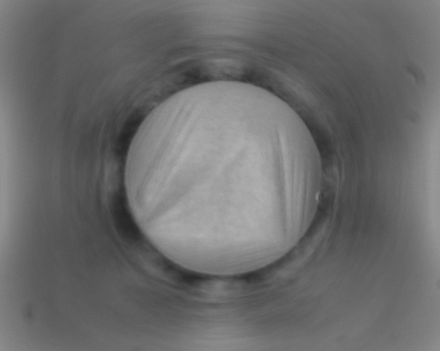 X0000113590323200910161848