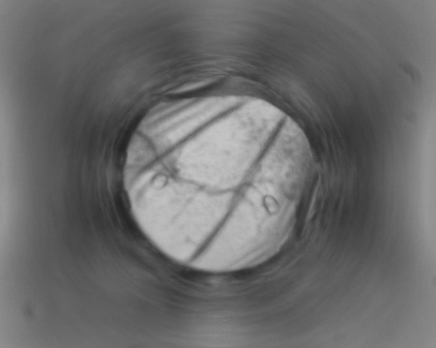 X0000113590324200910161848