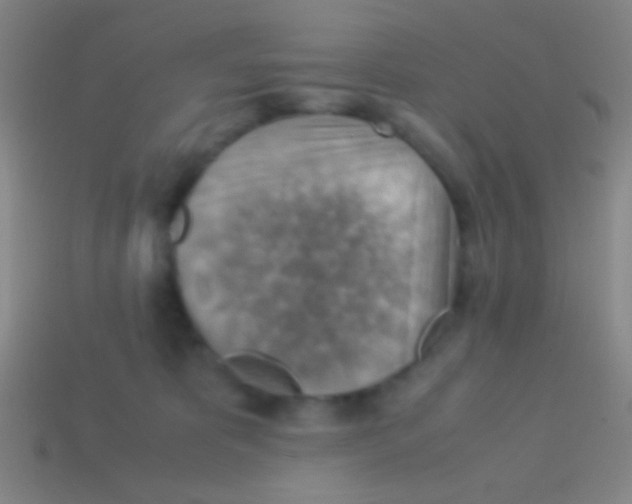 X0000113590325200910161848