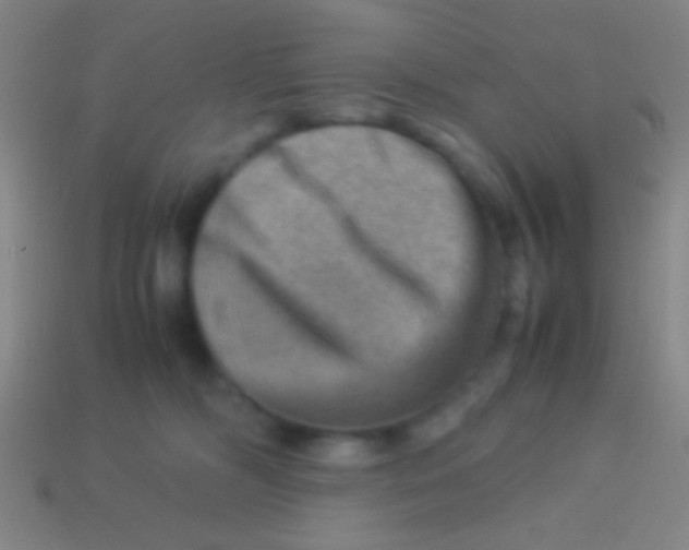 X0000113590326200910161848