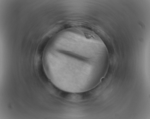 X0000113590327200910161848