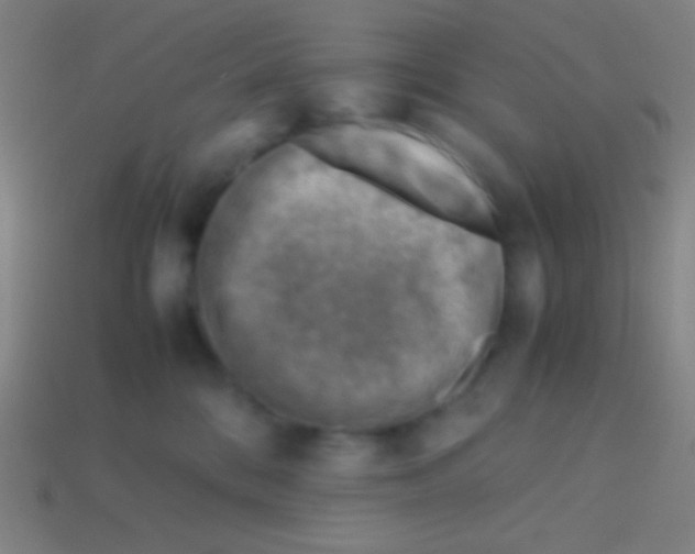 X0000113590328200910161848
