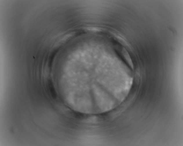 X0000113590330200910161848