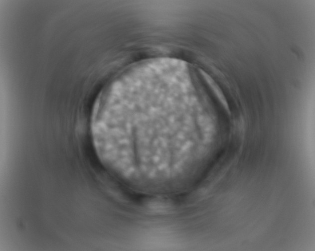 X0000113590331200910161848
