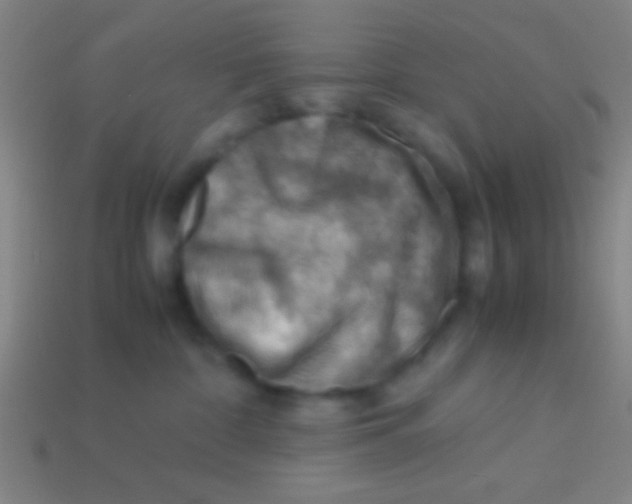X0000113590332200910161848