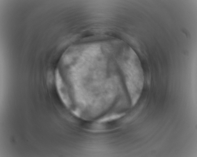 X0000113590335200910161848