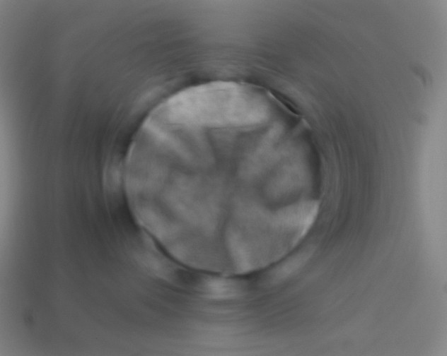 X0000113590336200910161848