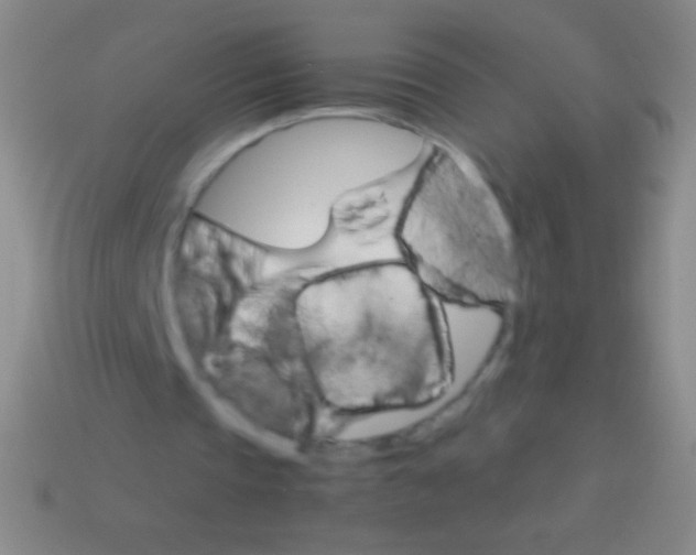 X0000113590337200910161848