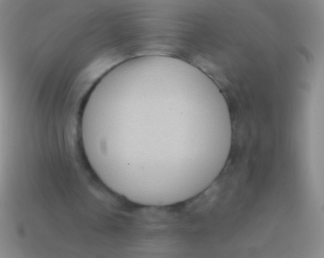 X0000113590338200910161848