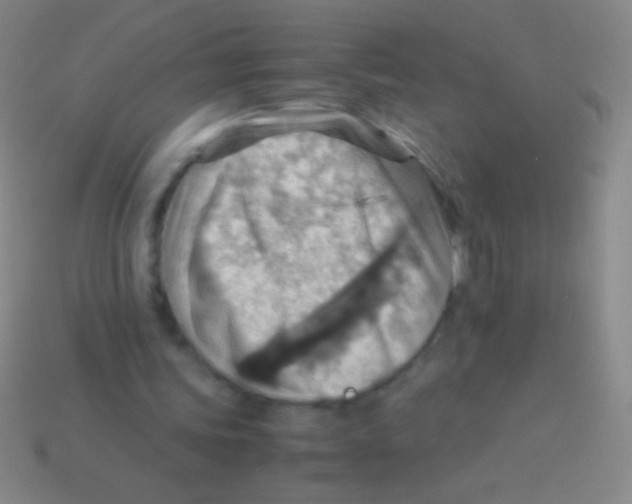 X0000113590339200910161848